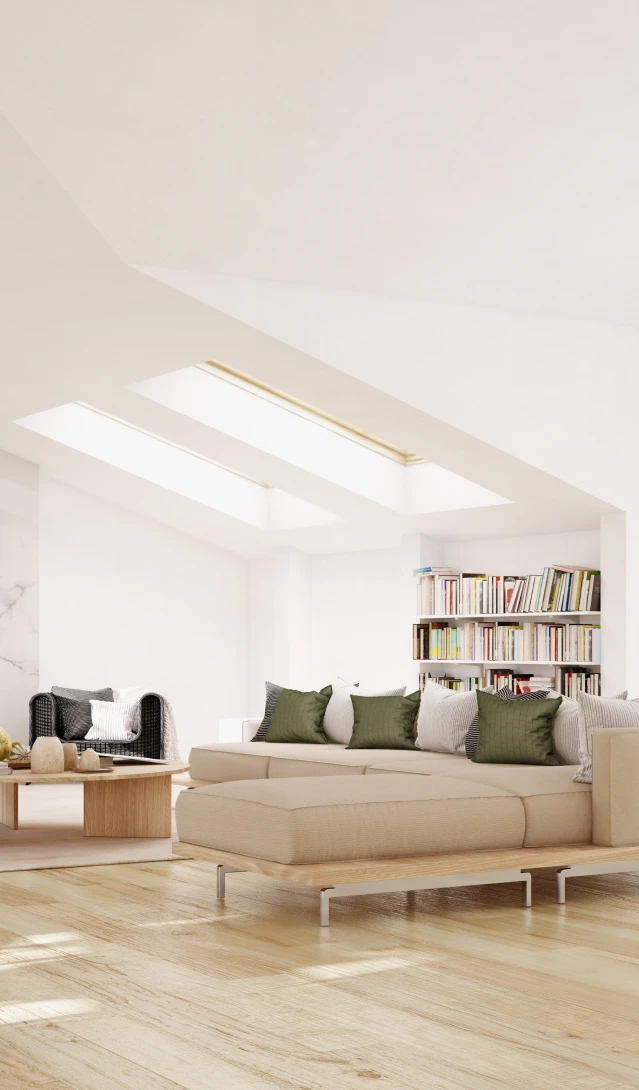 Cozy sofa and bookshelves